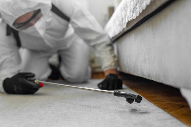 Professional Bed Bug Control technician working in Bourbon, IN