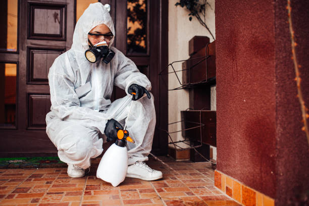 Reliable Bed Bug Control contractor in Bourbon, IN by Nex Pest Control